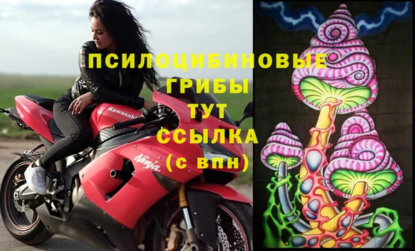 амф Козловка