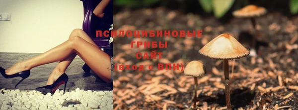 mdma Козельск