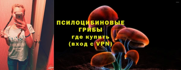 мяу мяу мука Корсаков