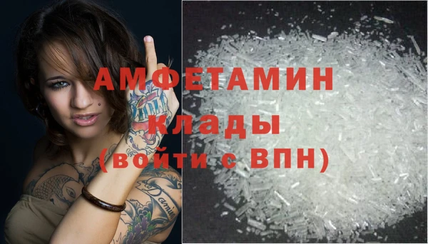 амф Козловка
