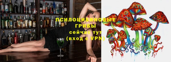 мяу мяу мука Корсаков