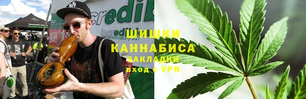 амф Козловка